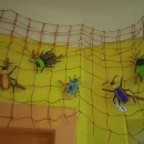 USPÁVÁNÍ BROUČKŮ-STŘEDŇÁČCI